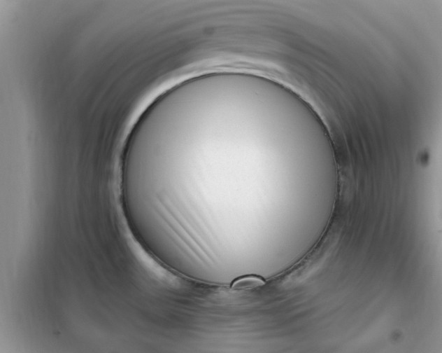 X0000100961531200807081230