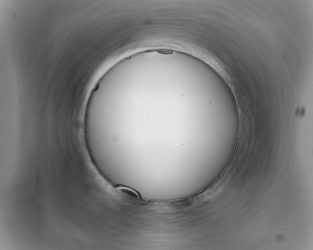 X0000100961536200807081230