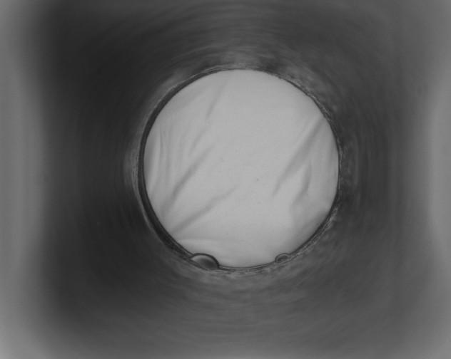 X0000100960003200807151408