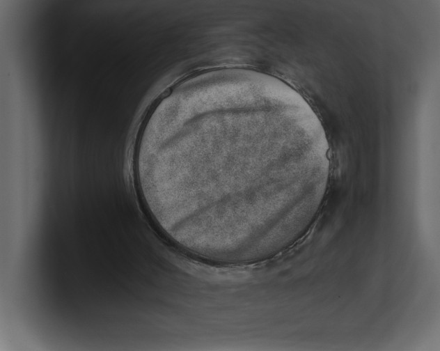 X0000100960004200807151408