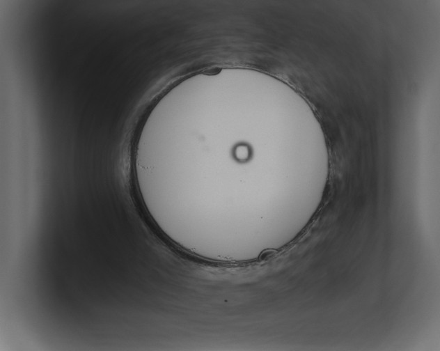 X0000100960005200807151408