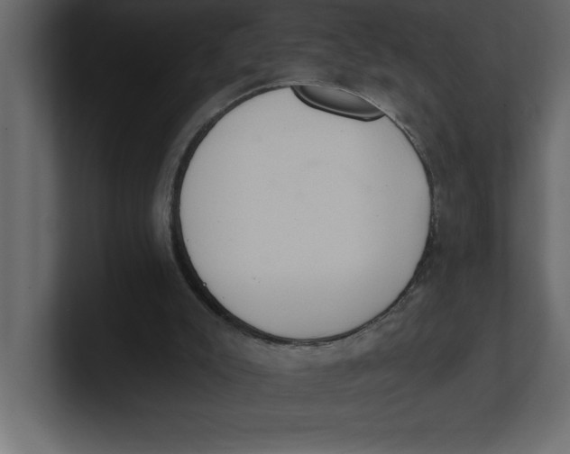 X0000100960007200807151408