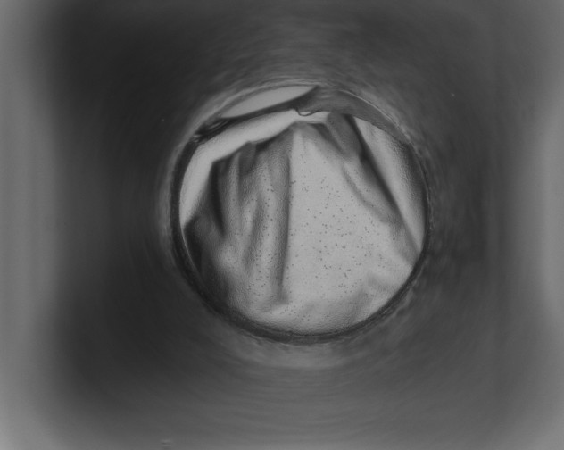 X0000100960008200807151408