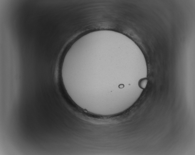 X0000100960012200807151408