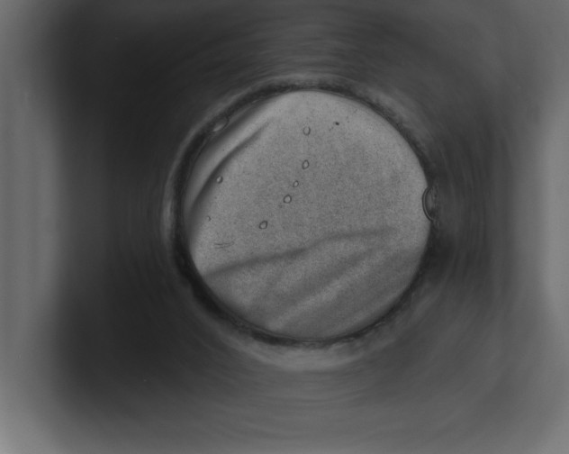 X0000100960016200807151408