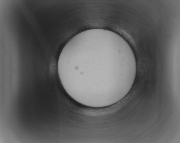 X0000100960017200807151408