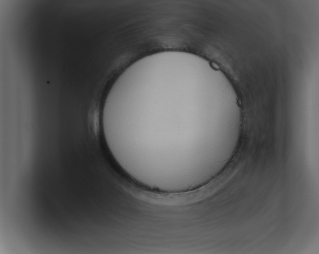 X0000100960019200807151408