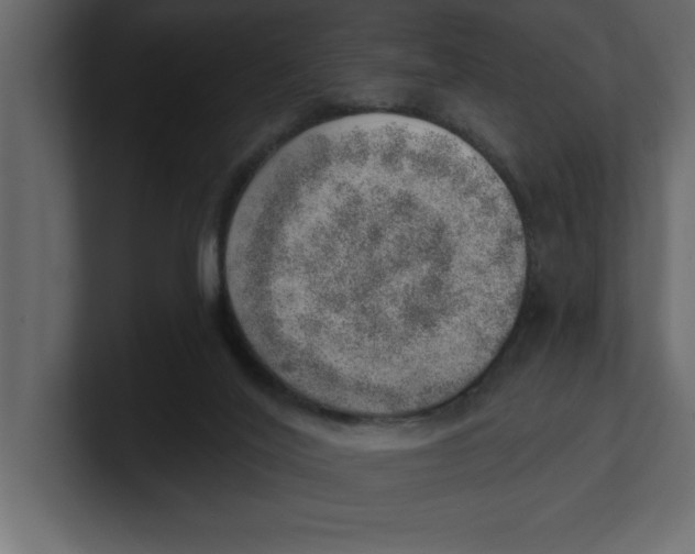 X0000100960020200807151408