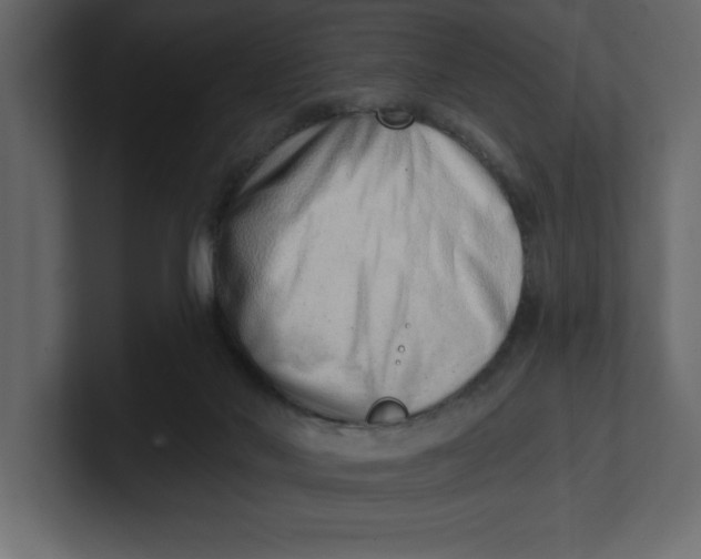 X0000100960022200807151408