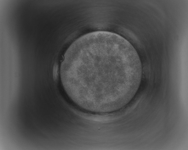 X0000100960024200807151408