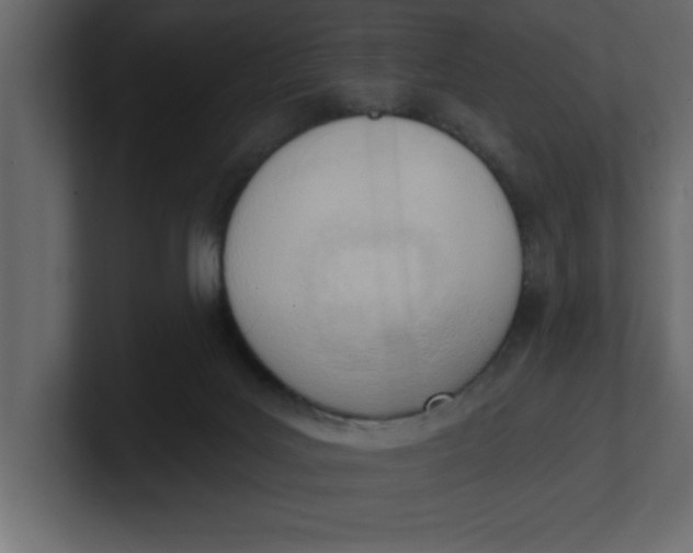 X0000100960027200807151408