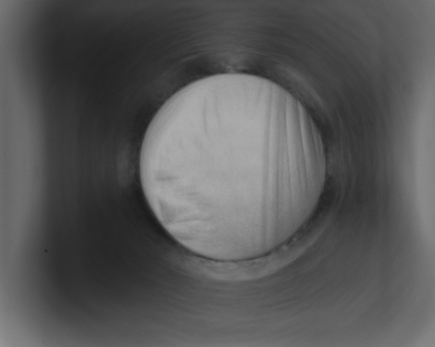 X0000100960030200807151408