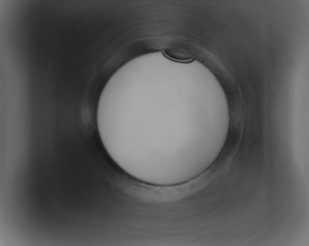 X0000100960031200807151408