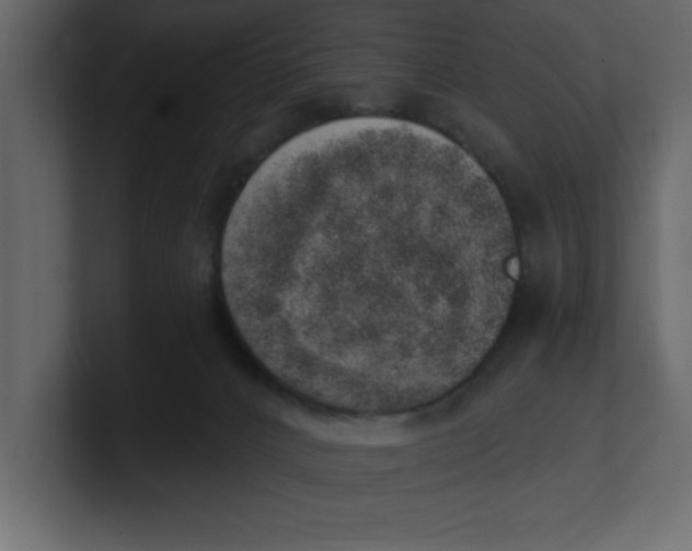 X0000100960032200807151408