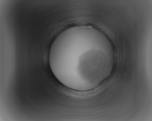 X0000100960035200807151408