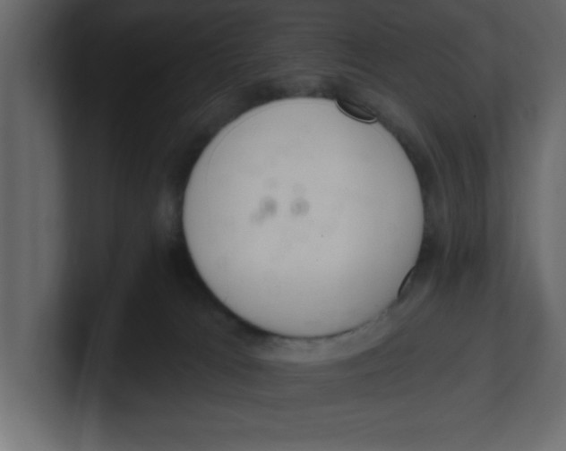 X0000100960037200807151408