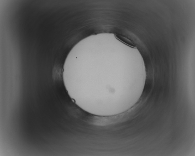 X0000100960045200807151408