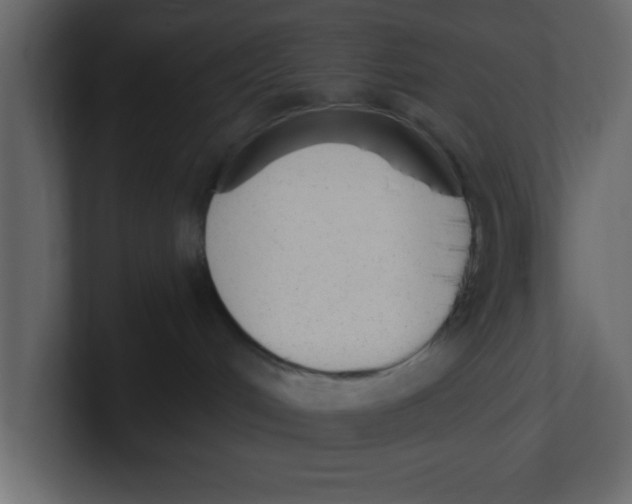 X0000100960048200807151408