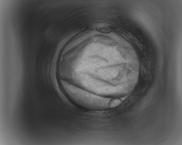 X0000100960049200807151407