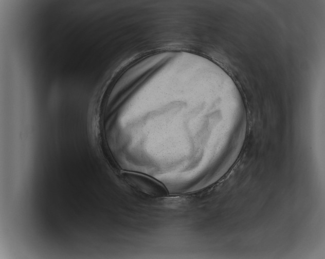 X0000100960050200807151407