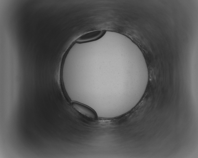 X0000100960052200807151407