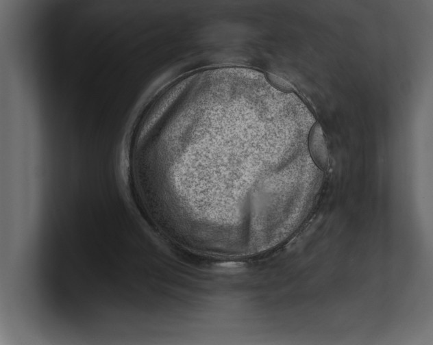 X0000100960053200807151407