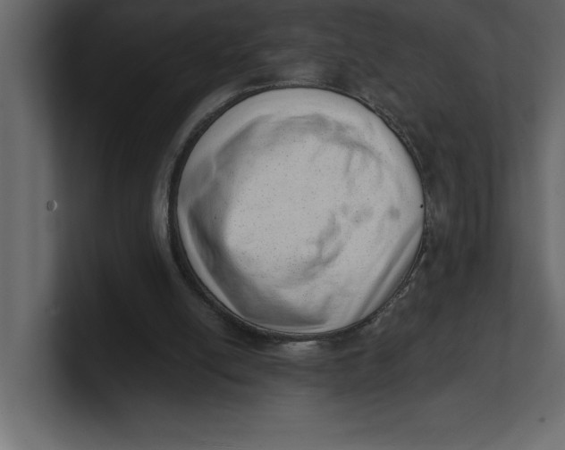 X0000100960054200807151407