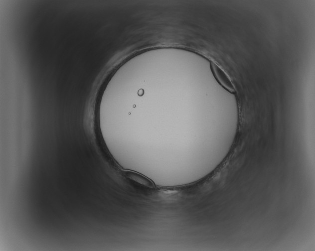 X0000100960055200807151407