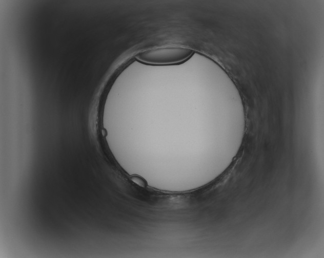 X0000100960056200807151407