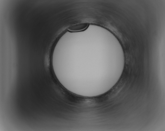 X0000100960060200807151407