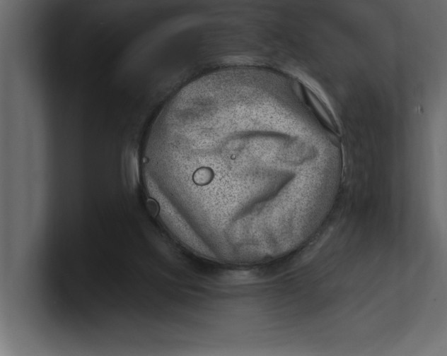 X0000100960061200807151407