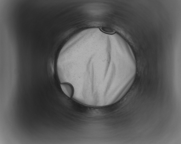 X0000100960062200807151407