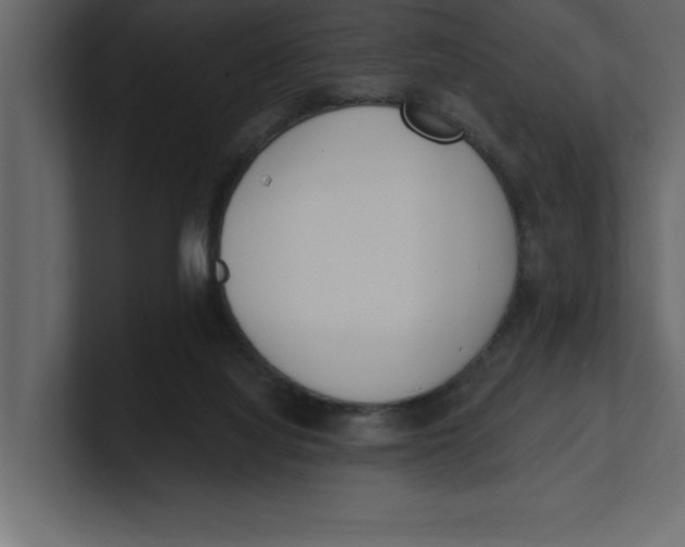 X0000100960068200807151407