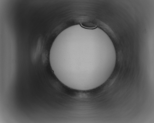 X0000100960073200807151407