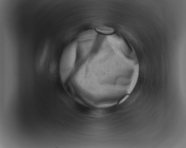 X0000100960079200807151407