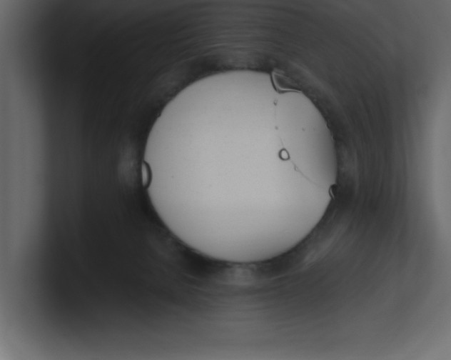 X0000100960080200807151407