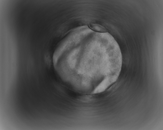 X0000100960086200807151407