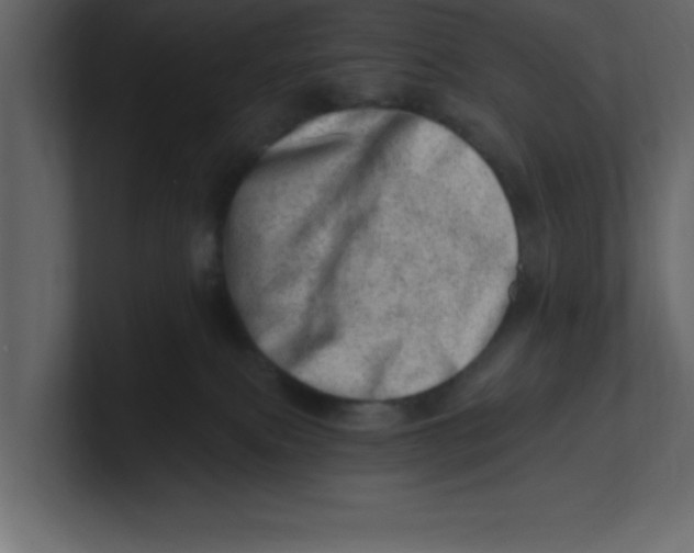 X0000100960087200807151407