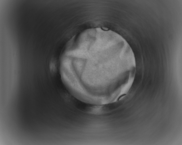 X0000100960090200807151408