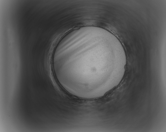 X0000100960097200807151407