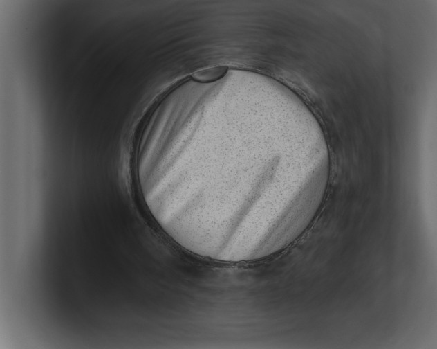 X0000100960098200807151407