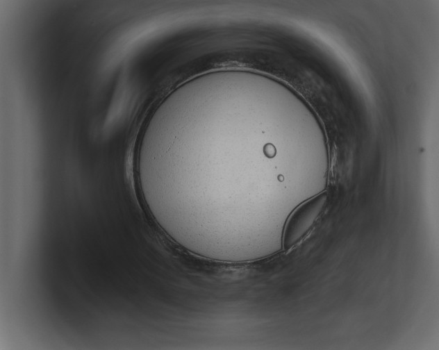 X0000100960099200807151407