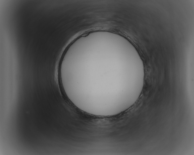 X0000100960100200807151407