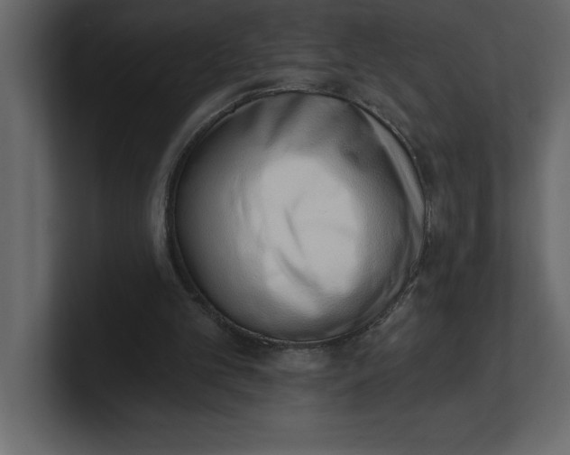 X0000100960101200807151407