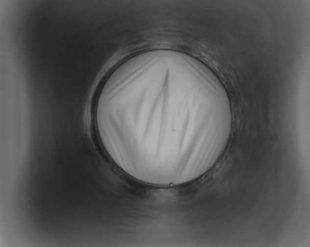 X0000100960102200807151407