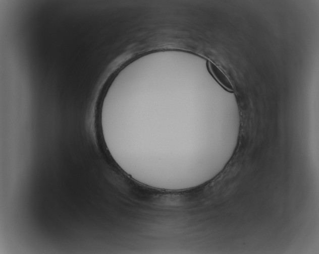 X0000100960104200807151407