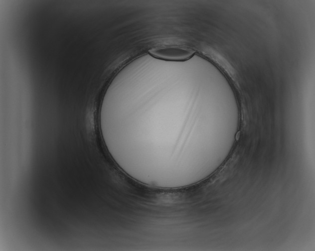 X0000100960105200807151407