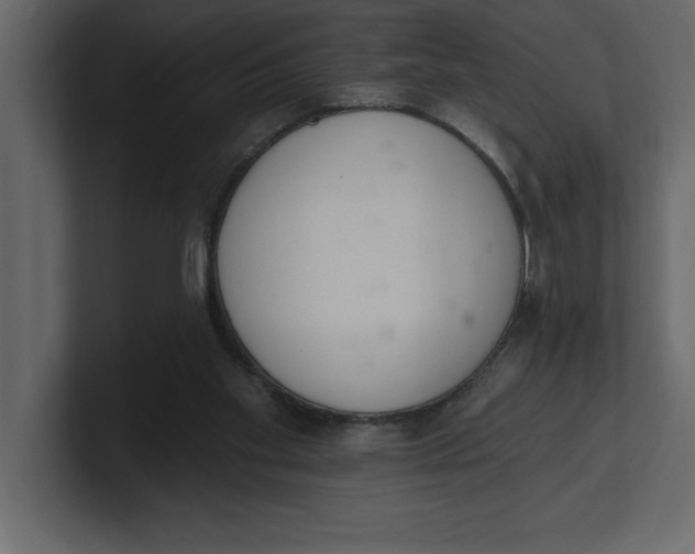 X0000100960109200807151407