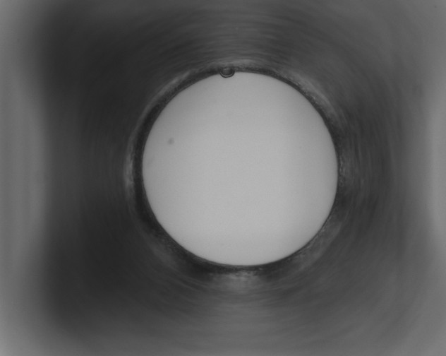 X0000100960112200807151407