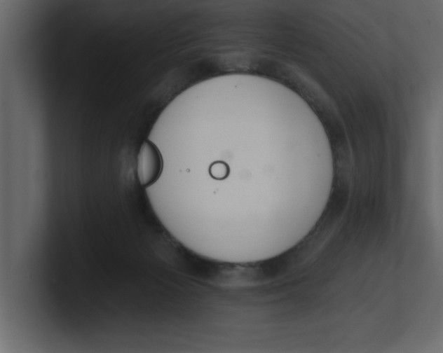 X0000100960125200807151407